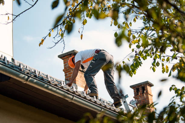 Best Metal Roofing Contractor  in Mcalester, OK