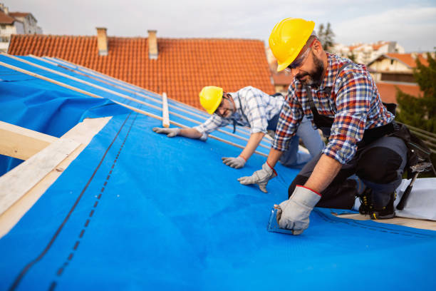 Best Roof Maintenance Services  in Mcalester, OK