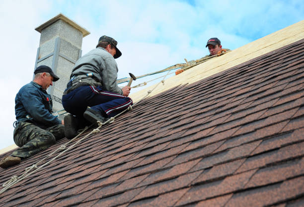 Best Shingle Roofing Installation  in Mcalester, OK